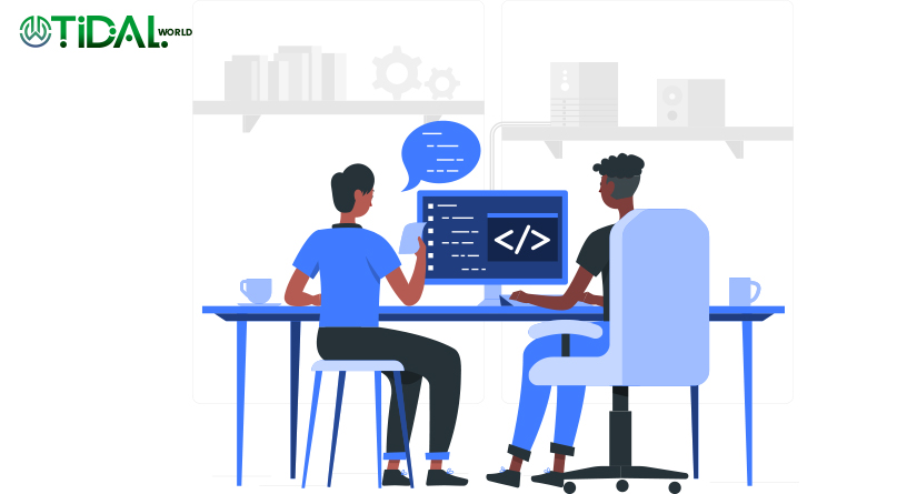 Web Development Service